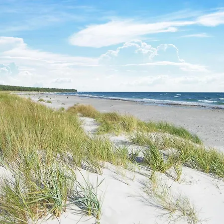 Rubinsoen Skovhuse Hasle