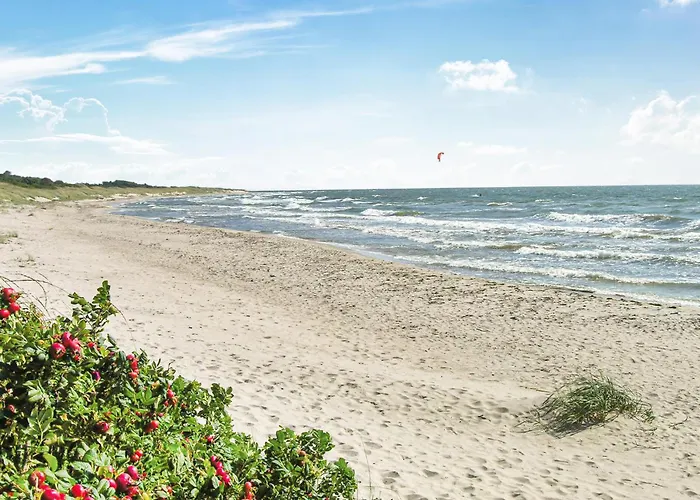 Rubinsoen Skovhuse Hasle