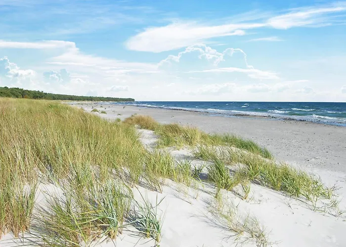 Rubinsoen Skovhuse Hasle